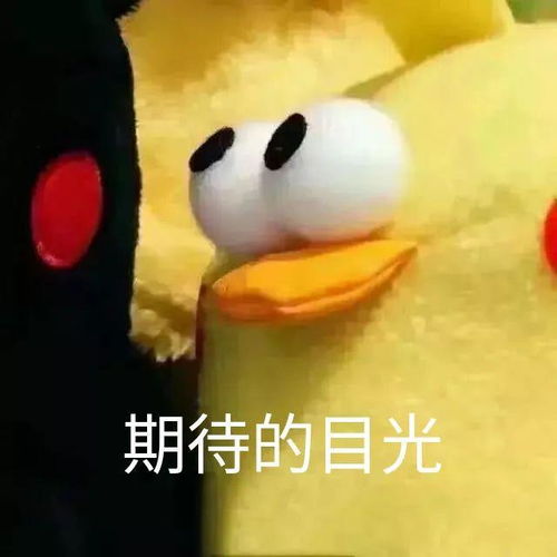 能引进吗今年最最期待的剧场版动画电影