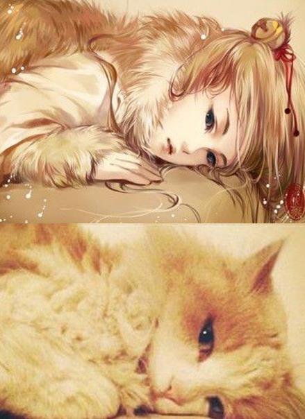 超q超可爱的猫狗拟人化古风插画,每一张都是可以超美的存在