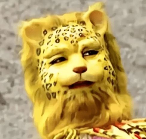 金钱豹头像是什么梗