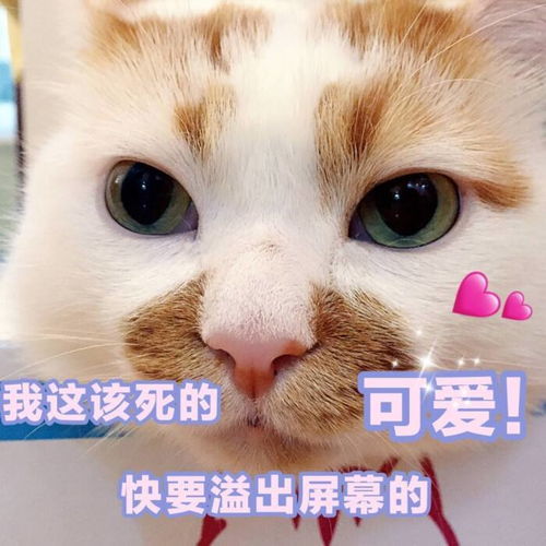 吃完饭到小区广场溜崽,和儿子差不多大的一个女娃特喜欢要我抱