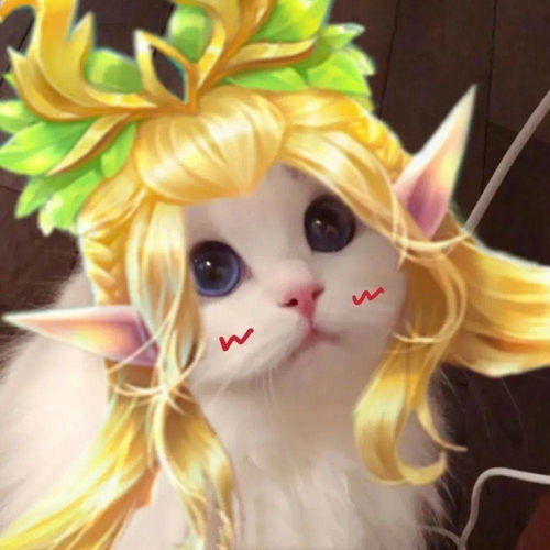 王者荣耀猫头第4期女神团喵咪接头头像,这么可爱的猫从哪里来的