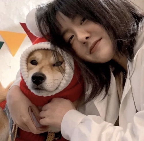 女生头像少女和狗狗的故事