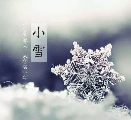 小雪图片微信头像