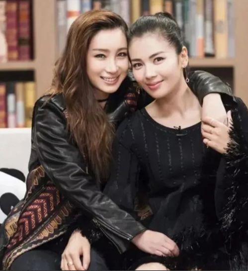 刘涛挺着大肚子哭着跟秦海璐借钱,说出金额后,秦海璐惊呆了