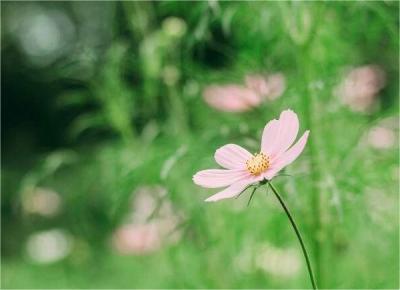 她38岁,离婚后打两份工挣20000,买学区房还8000房贷,病后醒悟