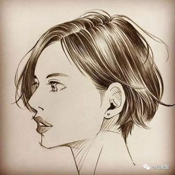 男女发型手绘