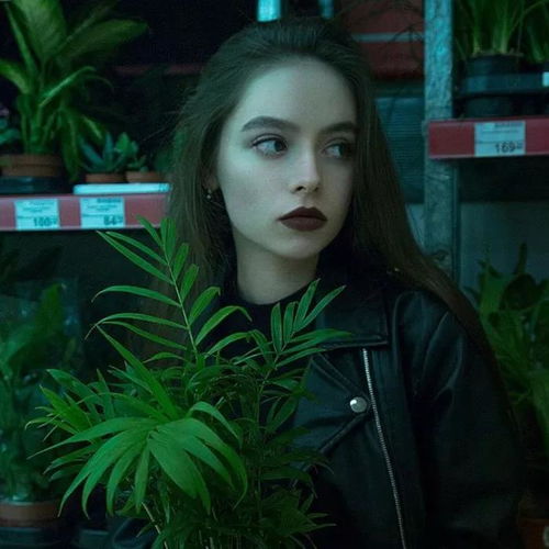 清新绿色森系女头那些适合用很久不换的网名合集