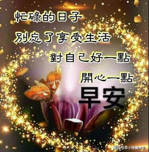 早上好图片问候祝福语句子,句句阳光,温暖人心