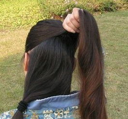 优雅古装淑女必备仙气十足梳发发型