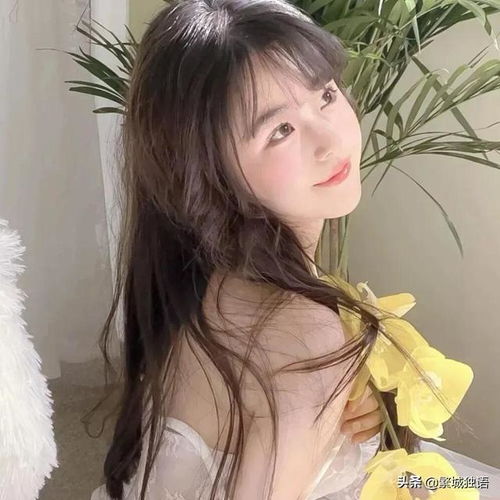 永不说再见