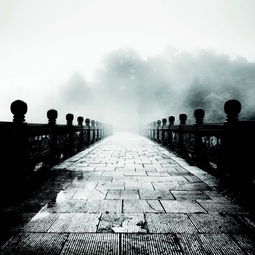 孤独空灵的禅意风景