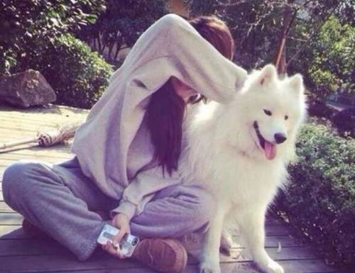 为什么很多女生,都爱养狗不养猫原因有几个