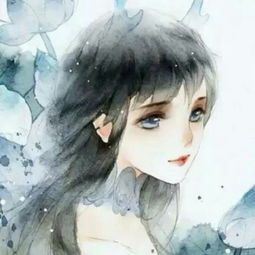 白狐