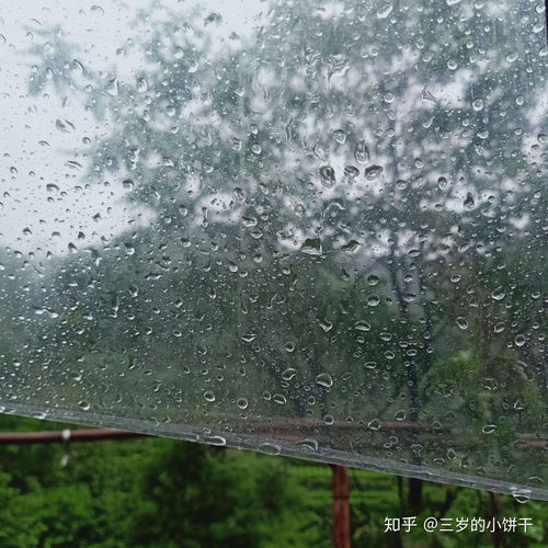 网抑时间