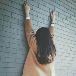 2018伤感的美女背影头像痛在心头别窒息在自己的蛹壳里