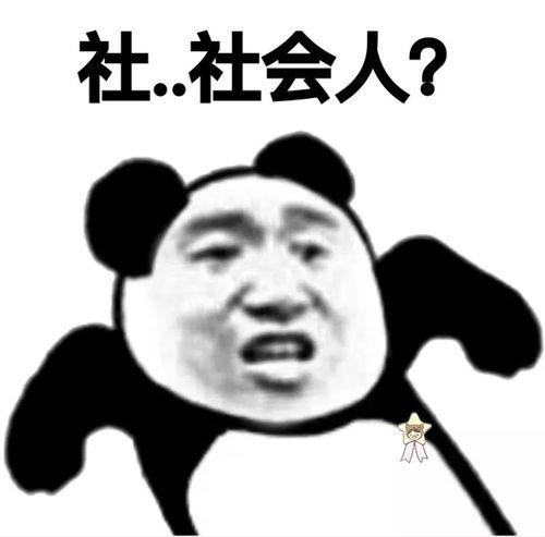 双11了,英专党还单身不是没有原因的......