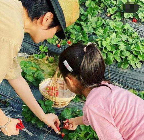 梁咏琪母女互动引羡慕,孩子快乐又充实,与成功的家庭教育分不开