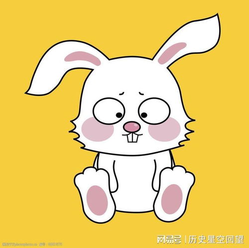 最旺夫的女人生肖,前四名,有你吗