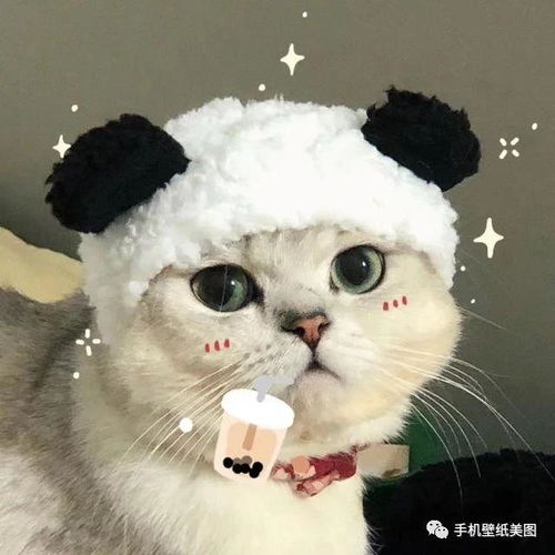 2020最近比较火的qq头像,你值得拥有