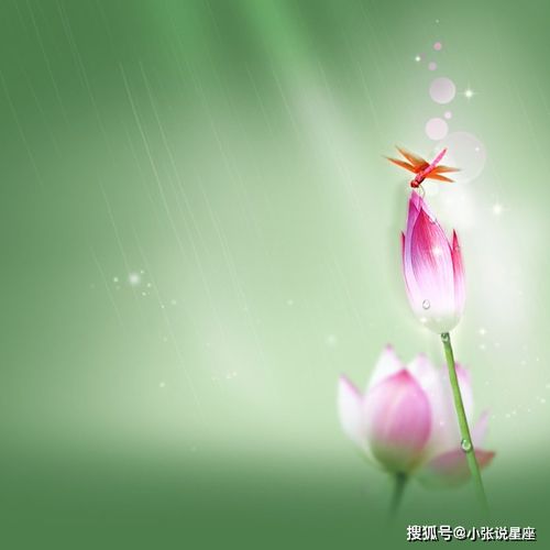 下周,前有贵人后有靠山,运势好的挡不住的4大星座