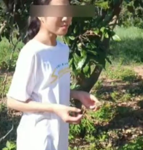12岁女孩深夜离家,失联近一周在家是宝,在外是草