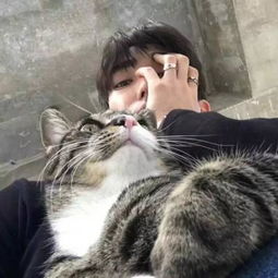 嘿嘿,一定有你喜欢的吧