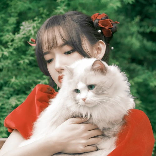 女生头像百看不厌上