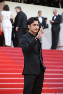 明道亮相戛纳红毯气度非凡展现东方男士魅力