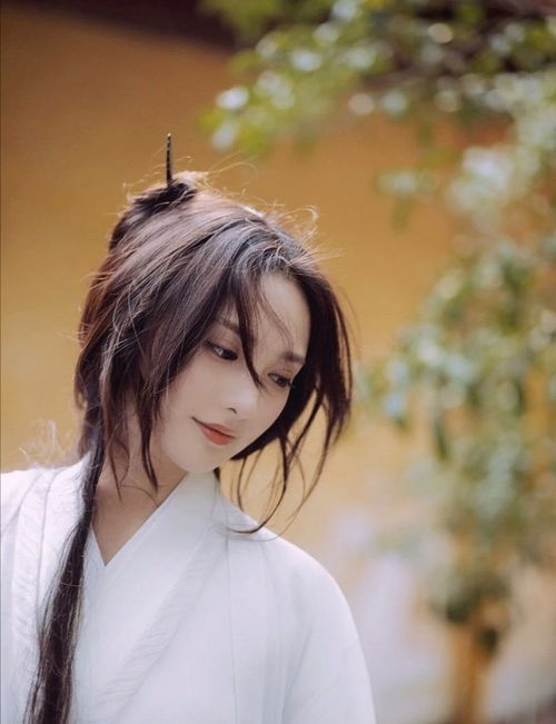 东宫宝藏女孩曲小枫