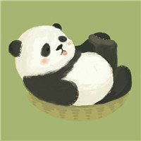 女用熊猫微信头像微信头像图片大全
