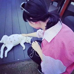 我们索爱的