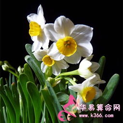 处女座需要多长时间能放下一个人