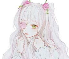 唯美花朵