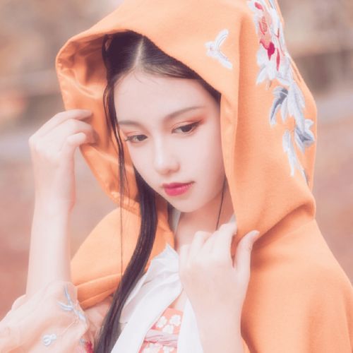 唯美意境古风女生头像自在飞花轻似梦无边丝雨细如愁