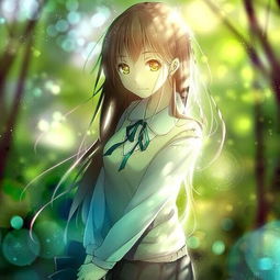 5音单m站