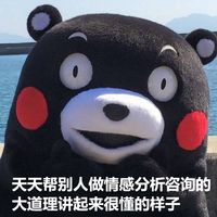 熊本熊系列微信聊天表情包9个女生单身的理由