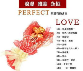 情人节送什么礼物好点,对方透露要花