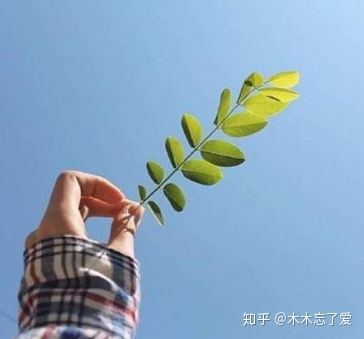 过敏性鼻炎吃什么药好