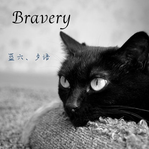 bravery蓝六高音质在线试听bravery歌词歌曲下载酷狗音乐