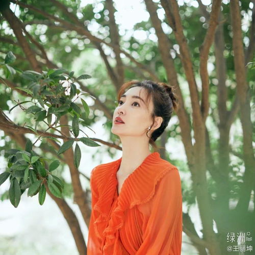 晒秋美宿版乘风破浪的姐姐,可甜可咸,魅力满分