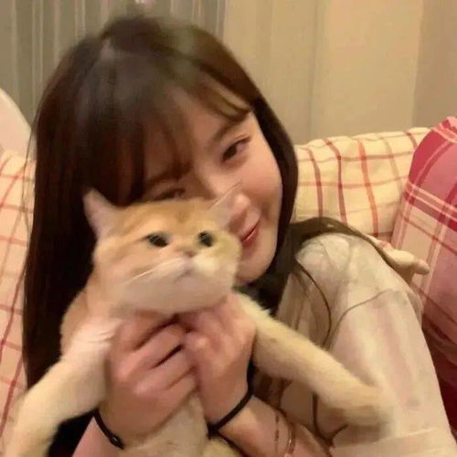 头像图片丨女生头像丨可爱的猫系女头1214