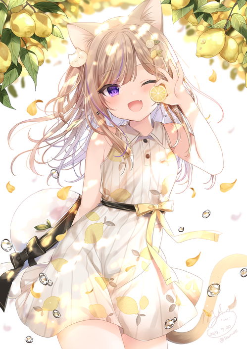 币发bifav2.61.912023已更新