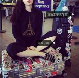 用美图秀秀怎样在图片上加上字,前面有一个小白点,字在后面的框框里不要nice和in