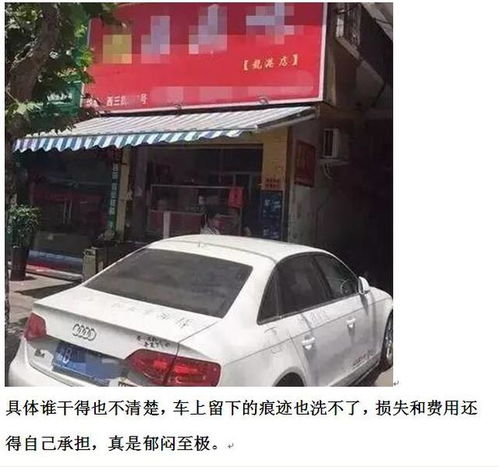 新手奥迪女司机路边停车,返回取车时气得倒地痛哭