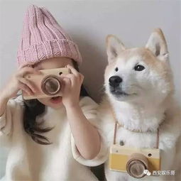 福利丨催泪大作一条狗的使命免费观影汪星人互动