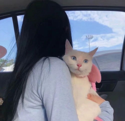不露脸的女生头像也很好看