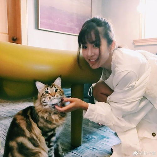 陈赫妻子张子萱,活脱脱16岁少女,比杨幂还少女毫无妈味