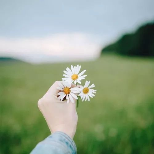 手持花朵小清新微信头像