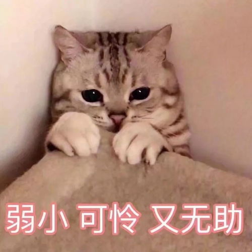 惊王一博罕见女装照曝光