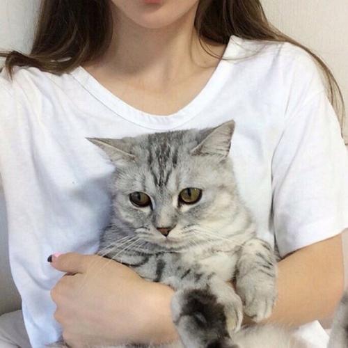 5种错误的抱猫方式,不仅伤害到它,还让它讨厌你